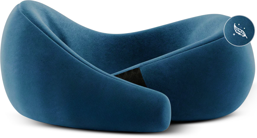SpinecureMattress