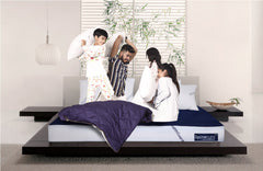 Spinecure Spine-Opedic - India's First Health Guard + Certified Anti-Bacterial Orthopedic Mattress (Blue)
